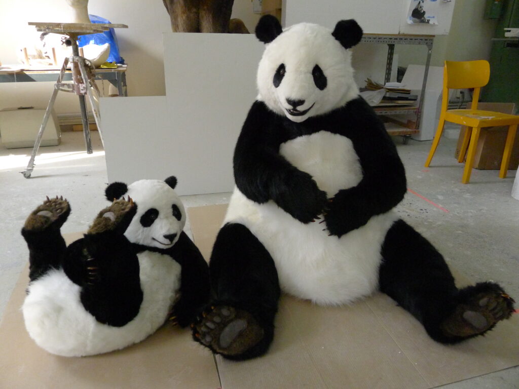 Panda Bären / 2018 • imitat-berlin.de